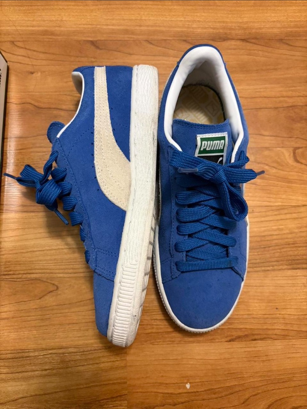 Puma Blue Suede Sneakers